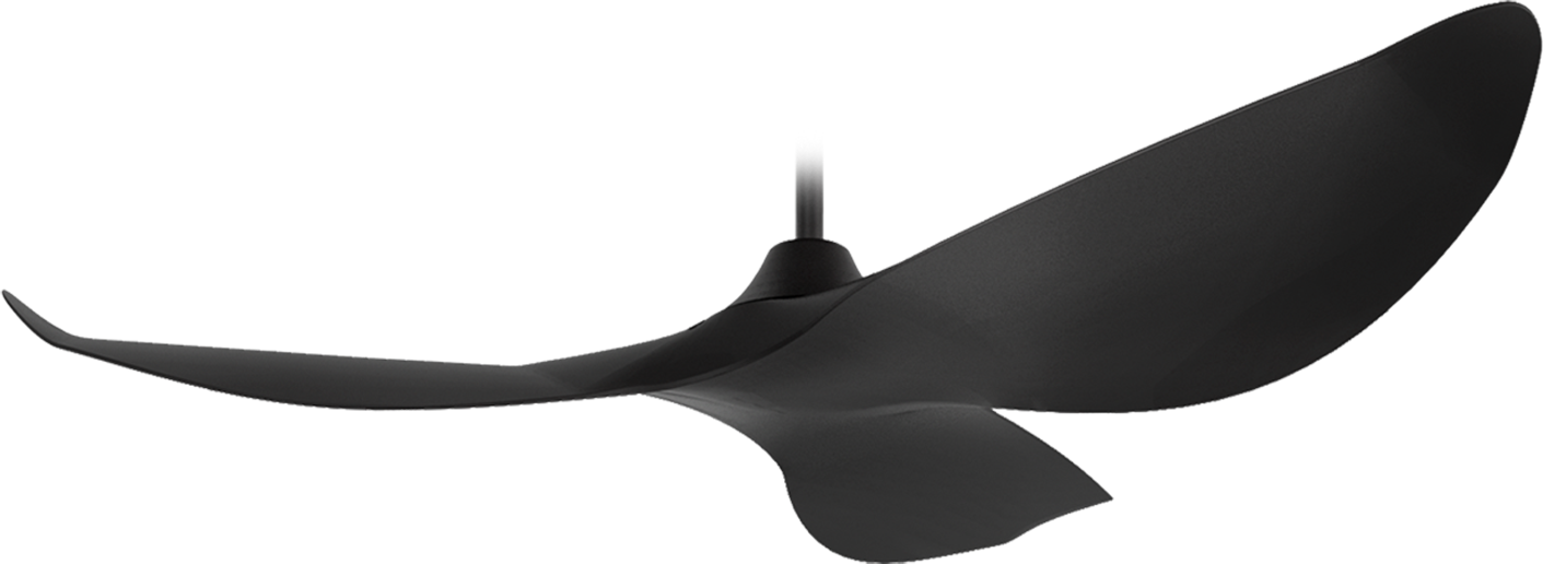 Designer Ceiling Fan 1 Decor Singapore Visit Showcase