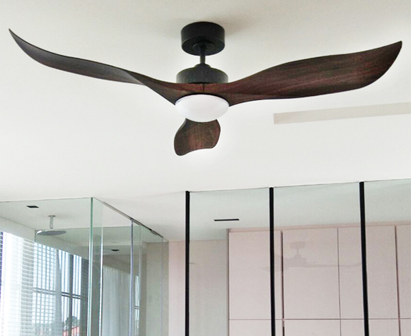 Designer Ceiling Fan Duo Deal Decor