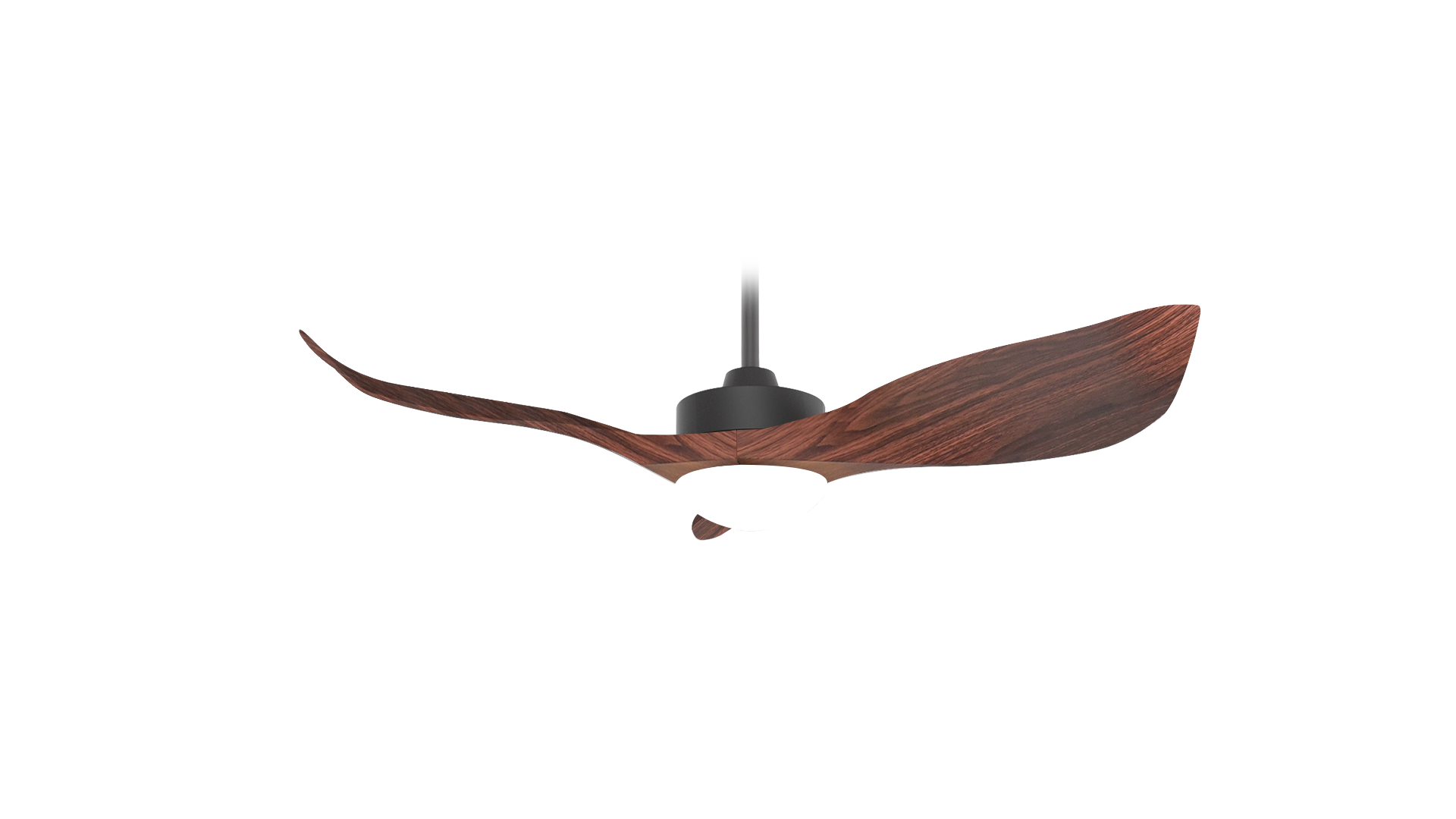 Designer Ceiling Fan Duo Deal Decor Fan Singapore