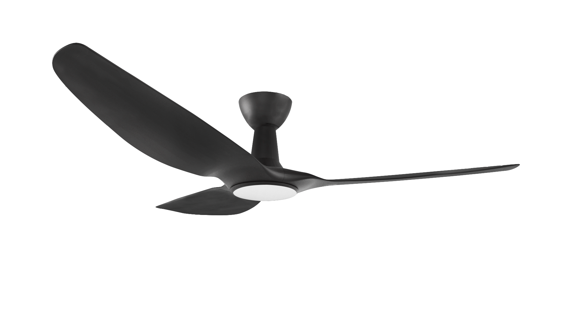 Designer Ceiling Fan Duo Deal Decor Fan Singapore