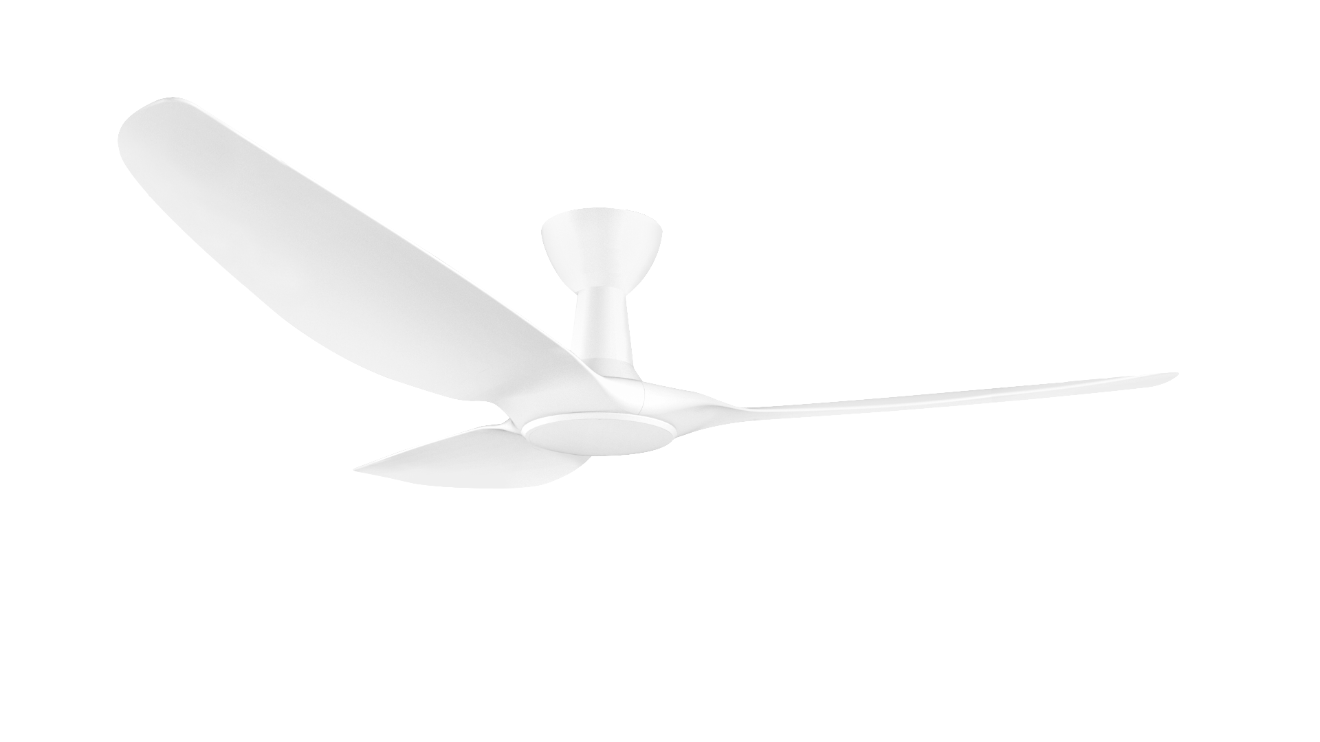 Designer Ceiling Fan Duo Deal Decor Fan Singapore